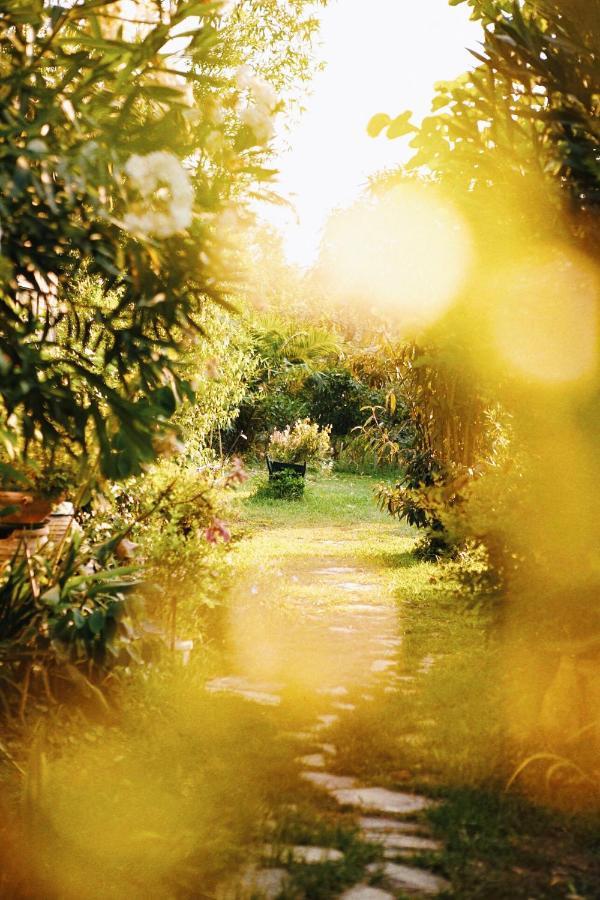 Вилла The Artist'S Farm Dhiyeliotika Экстерьер фото